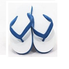 รองเท้าแตะช้างดาว 