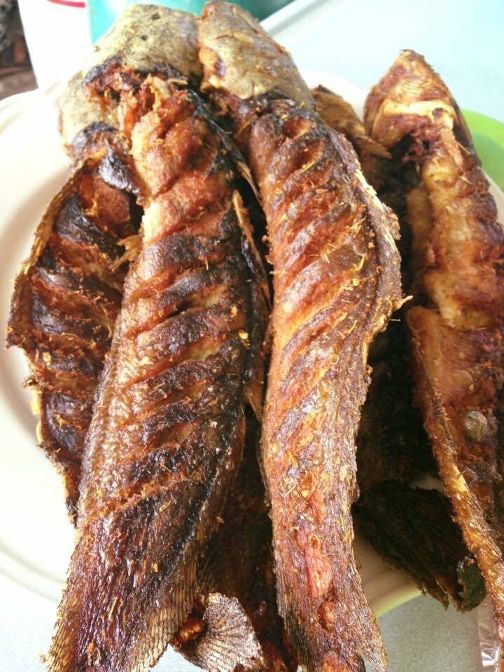 ปลาดุกทอด